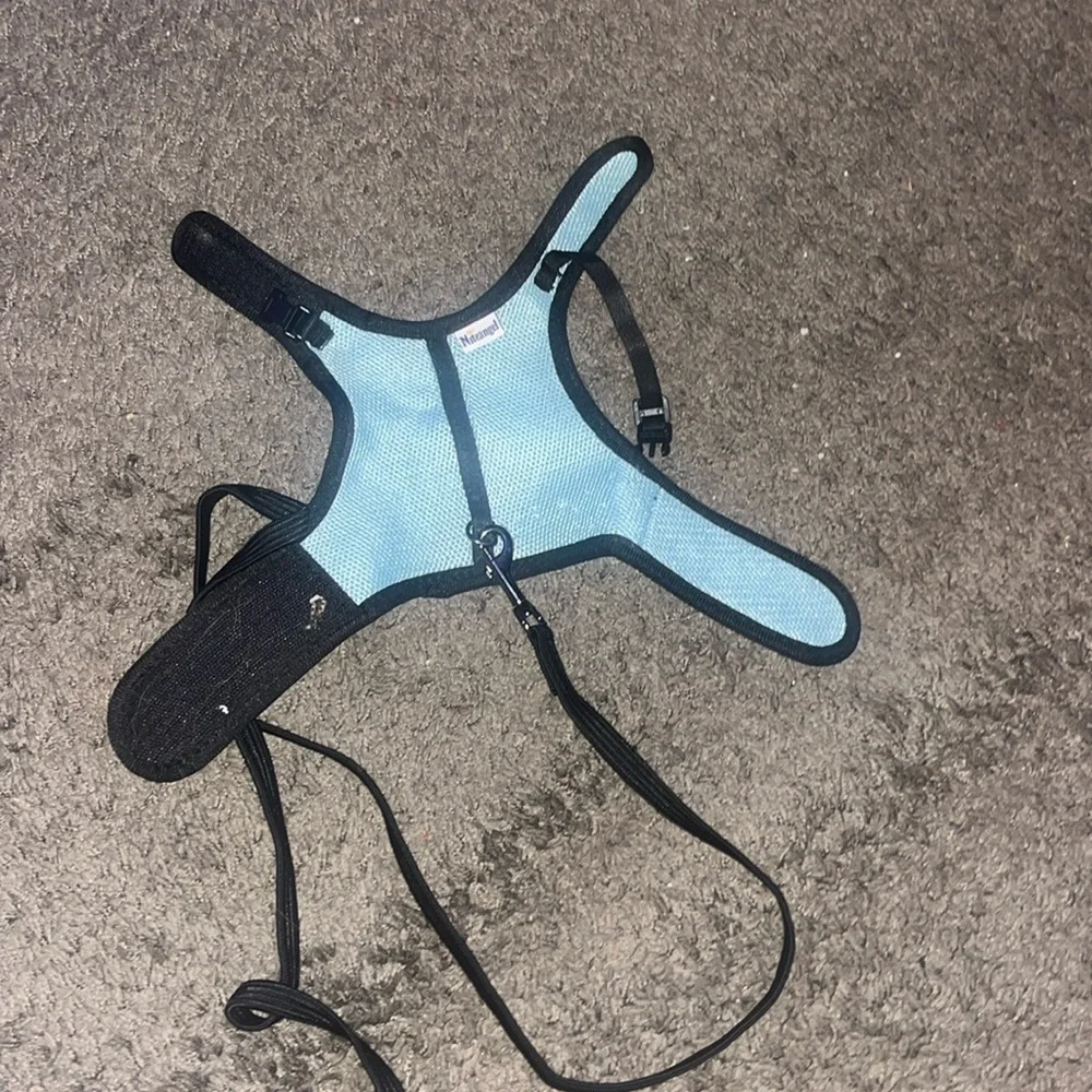 bunny harness and leash